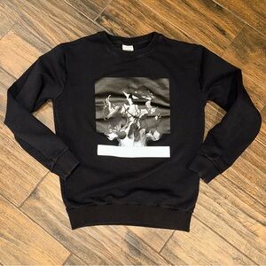 Zara women’s crew terry sweater